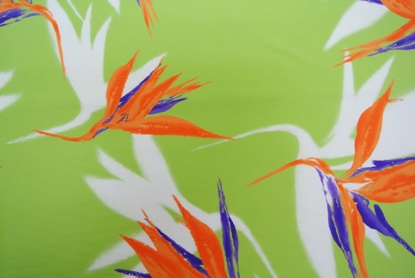 バードオブパラダイス 1メートル[ライトグリーン]