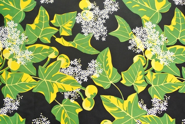 Aina O Molokai アイナ オ モロカイ 　1メートル[ブラック/グリーン]