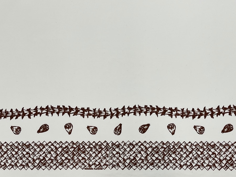 Loina ロイナ　1メートル [アイボリー/ブラウン]