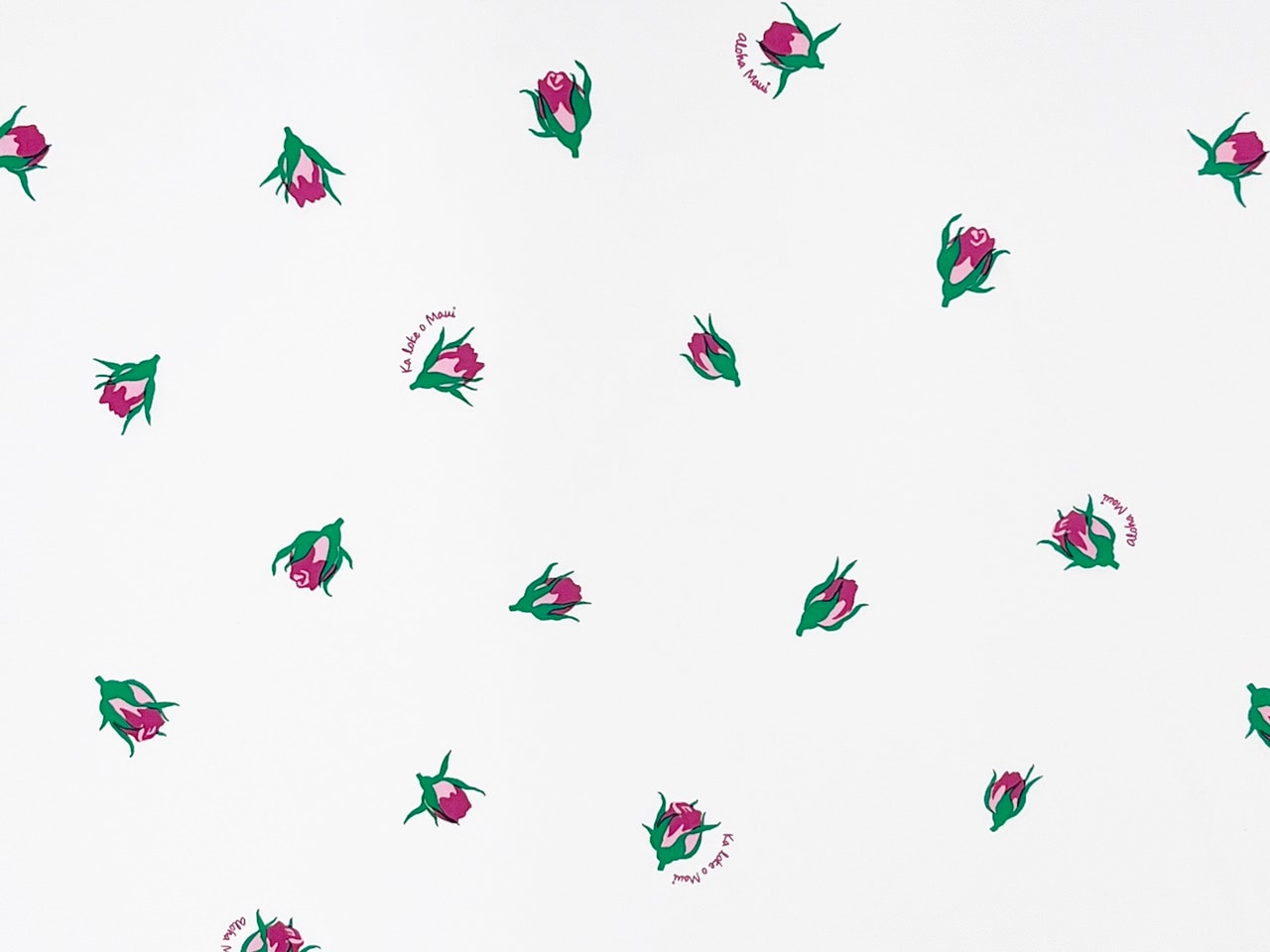 Ka loke o Maui  カ ロケ オ マウイ　1メートル [ホワイト]