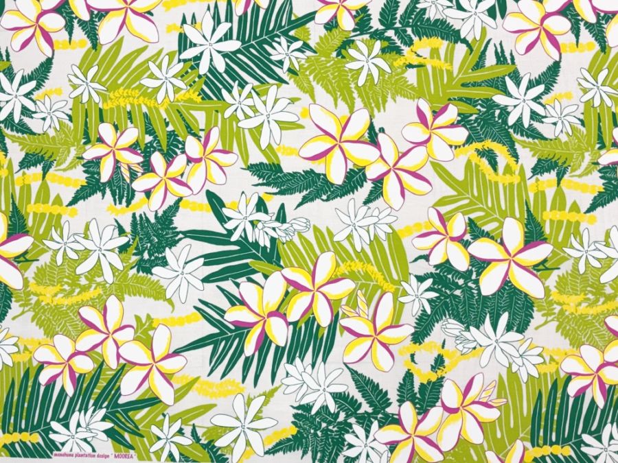 Mooreaモーレア1メートル 