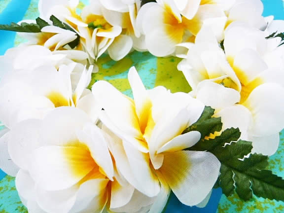 プルメリア・ダブル　ヘッドバンド