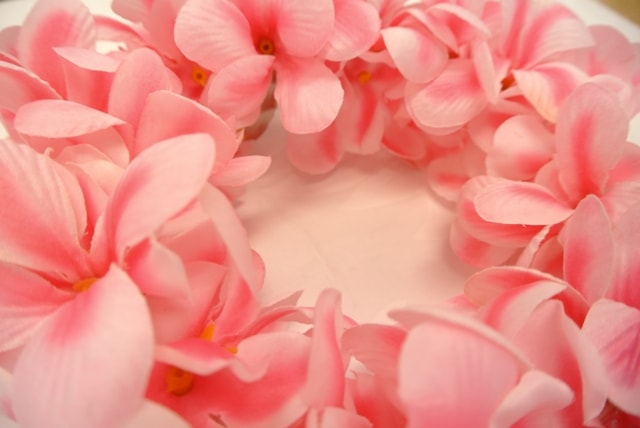 アロハプルメリアダブルヘッドバンド(ピンク)