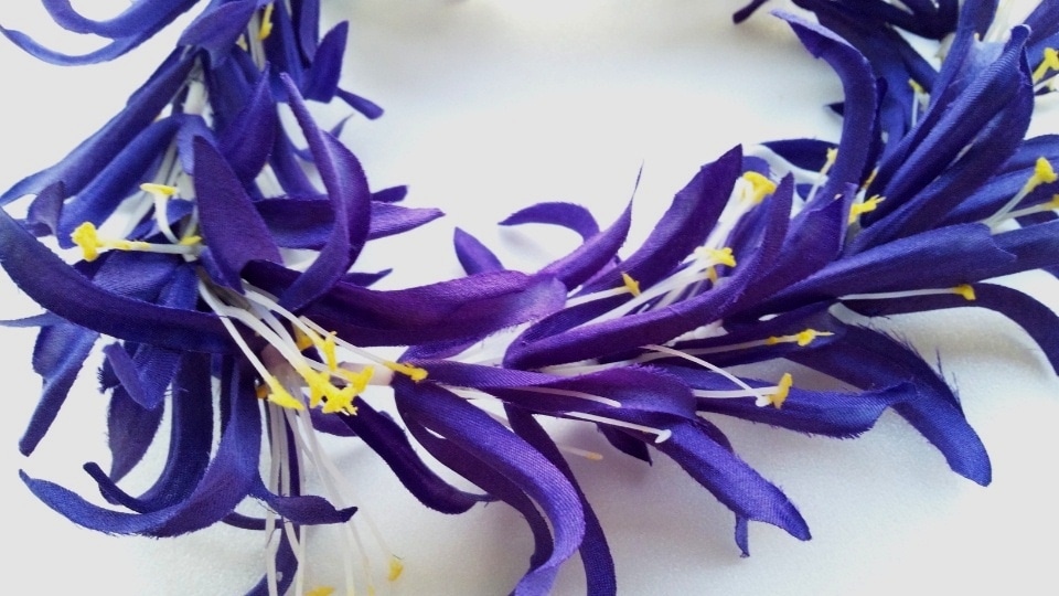 スパイダーリリー　ヘッドバンド　［パープル］