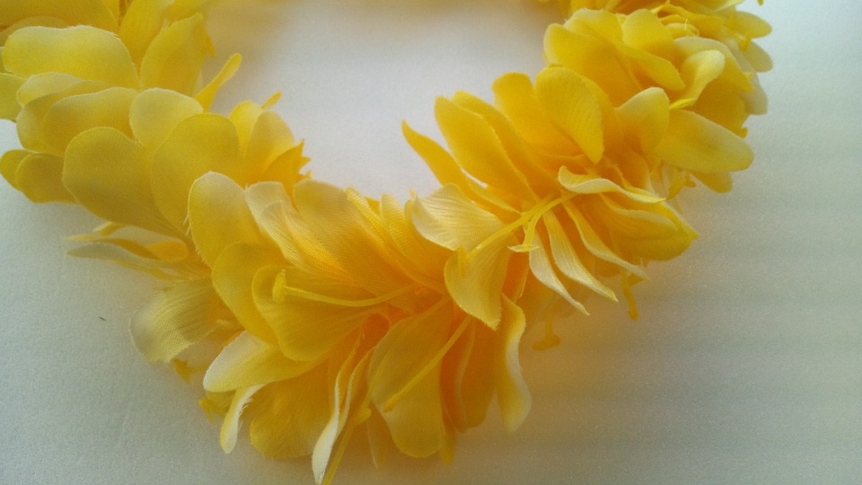 カヒリジンジャー　ヘッドバンド　［イエロー］