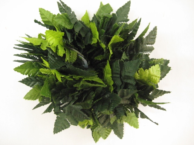 ダブルファーンシュシュ