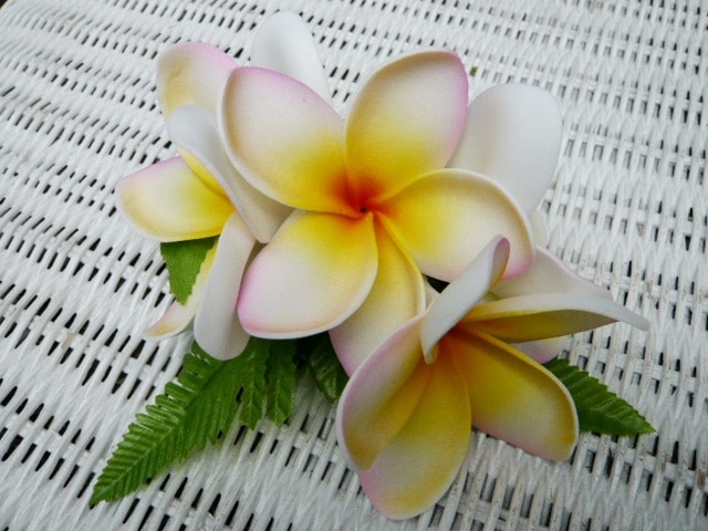 ナニ・プルメリア ヘアクリップ （5個付） 薄ピンク | ヘア  