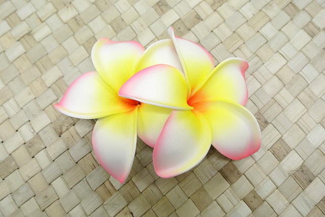 ナニプルメリア ヘアクリップ（2個付）［薄ピンク］