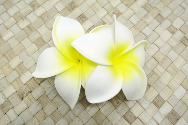 ナニプルメリア ヘアクリップ（2個付）［白/黄］