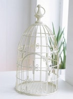 ����ƥ������� �֥�󥷥����ץ��ĥ�����<br>  ��COVENT GARDEN�å��٥�ȥ����ǥ�� �����ǥ󻨲� �ʥ����륬���ǥ� ������̵���� ��ZC-IC-44��