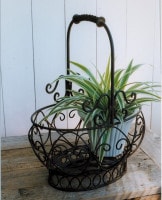 ����ƥ������� ���饷���롦�����Х�Х����å�<br>  ��COVENT GARDEN�å��٥�ȥ����ǥ�� �����ǥ󻨲� �ʥ����륬���ǥ� ������̵���� ��ZC-GX-49��