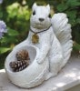 쥤 ǥ󥪡ʥ<br> ꥹ 쥤 SQUIRRELS ǥޥå ǥ˥ ֤ʪ ֥ ʥ ưʪZX-KH-60864