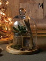 ���饹�ɡ��� M<br> �֤�ʪ ��ʪ ���֥��� ���饹�ɡ��� ������̵���� ��ZB-EX-45-27��