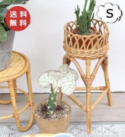 �ե�������� S������ �楰�� �ݷ� ���쥨 JUGLAS 92010001 ����ƥ������� Creer<br> �ե��� �ץ�󥿡� �ץ�󥿡� �ץ�󥿡��������/�ե�������� �ǥ����� ��ݥ�å��̥����ǥ˥� ��� �������ƥꥢ���ʡ͡�����̵���ۡ�CRE-9201-0001��