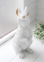 ����å����å� ��ӥå� ����ƥ�����Ĵ ������ ������ ��ӥå� rabbit �� ��COVENT GARDEN ���٥�ȥ����ǥ��<br> �����ǥ�ޥ����å� �����ǥ˥� �֤�ʪ ���֥��� �����ʥ��� ưʪ<br> TS-03 ������̵���� ��ZC-TS-03��