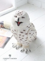 �ҥ�ꥢ���������� ����ƥ�����Ĵ �դ����� �ե����� �� �Զ�ϫ owl ���٥�ȥ����ǥ� COVENT GARDEN<br> �����ǥ�ޥ����å� �����ǥ˥� �֤�ʪ ���֥��� �����ʥ��� ưʪ<br> TS-05 ������̵���� ��ZC-TS-05��