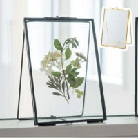 �֥饹�ե졼�� ������ɥ��󥰥� �Ϥ��� �ϥ��� �ս� ������� �֥饹 �������� ����ƥ������� ������ �ɥ饤�ե� ^�ڡ��ѡ��ʤɤ�Ÿ������Τ˥�������ʥ��饹�������� Ÿ���ѥ��饹 Ź�޽��� �ǥ����ץ쥤 ����ƥ����� ���硼������ ��AA-2261��