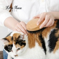 猫 ブラシ キャットブラシ (猫ブラシ) ペットブラシ オークウッド 獣毛ブラシ ＢＯＡＲ Horn Please 志成 107862  猫 キャット 室内用 かわいい ベッド ペット用 くし 櫛【Z