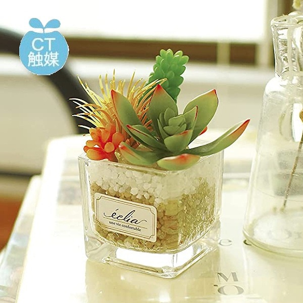 植物 サキュレントリフレリウム 消臭アーティフィシャルグリーン【消臭