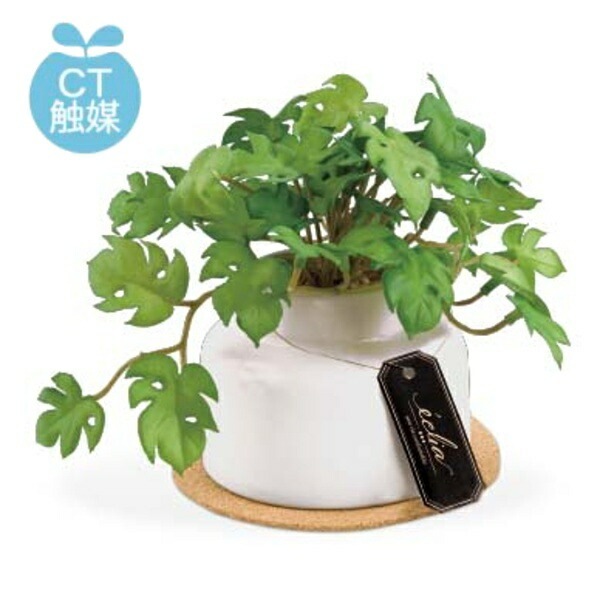 【モンステラ】【ミニモンステラ蔓】【フェイクグリーン】【インテリアグリーン】 ミニモンステラ - フェイクグリーン専用通販サイト – フェイク