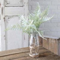 2145�ھ�������SALE�ۥե������꡼�� �ե��������꡼��  ¤�� �ե�����֥å��� ����ƥꥢ���꡼�� �͹����տ�ʪ ¤�� ���ߥơ������ �ե��ڥ���ƥꥢ�ۥ��������������ˡ��Ǻࡡ�ѡ��� ����ƥꥢ���꡼�� ���տ�ʪ OP-27 OP27��ZC-OP-27��