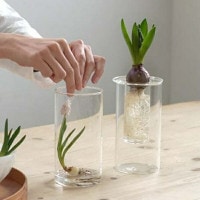 花瓶 PINO ガラスベース ストレート クリア アクシス ホームステッド Homestead HS3236 ガラス アンティーク風 ボトルベース フラワーベース/木/花/フラワー/フラワーグラス/ベ
