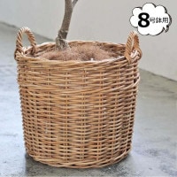 ������� �ץ�󥿡��Х����å� 8��ȭ�� ���쥨 Creer 92210010<br> ��ʪ���� ��ʪ���� ��Ǽ BOX �ܥå��� �� �Х����å� ���� ���� ������� ���襤�� ����ƥꥢ ���� �̲� ���å��� ��� ��ӥ� ���ء�����̵���ۡ�CRE-9221-0010��