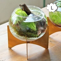 ���� �ե��١��� ����֥롼�� ���饹�ܥ���١��� L ���饹 ���쥨 Creer 92250002 �ե��١���/��/��/�ե�/�ե����饹/���� ���饹/���饹�١���/����ץ�/������� ��ʪ/�̲�/�ִ�/����ƥꥢ����/����ƥꥢ<br>��CRE-9225-0002��