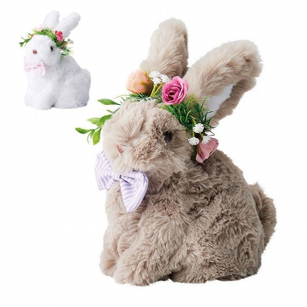 wumper rabbit  うさぎ うさぎ#🐰#兎＃ウサギ#rabbit#愛しい#可愛い#うさぎと暮らす