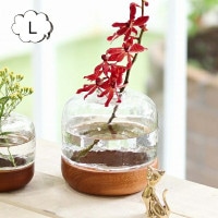 ���ʥ꡼���åɡ����饹�١��� �ɡ��� L������  ���ʥ꡼�١��� Sceneryvase 92280005 ���� �ե��١��� ���ʥ꡼ ���饹 ���쥨 Creer �ե��١���/��/��/�ե�/�ե����饹/���� ���饹/���饹�١���/����ץ�/������� ��ʪ/�̲�/�ִ��CRE-9228-0005��