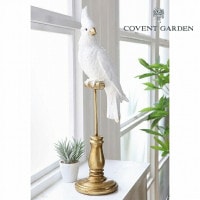 ۥ磻ȥѥåȥѡ ۥ磻  Ļ Ȥ ȥ Ļ Ȥ ȥ С bird ٥ȥǥ COVENT GARDEN BK-58<br> ʪ ֥ ֤ʪ ʪ ֥ ǥ󻨲 ƥꥢ ʪ ޥå ߥ˥奢̵ۡZC-BK-58