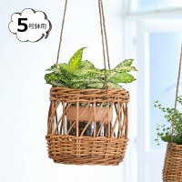 ��������Ĥ겼������ 5��ȭ�� ������� THE AROROG 92210033<br> ��Ǽ�ܥå��� ���� �Х����å� ��ʪ���� ��ʪ���� ��Ǽ BOX �ܥå��� �� �Х����å� ���� ���� ������� ���襤�� ����ƥꥢ ���� �̲� ���å��� ��� ��ӥ� ���� �ߤ겼��/�ɳݤ���CRE-9221-0033��