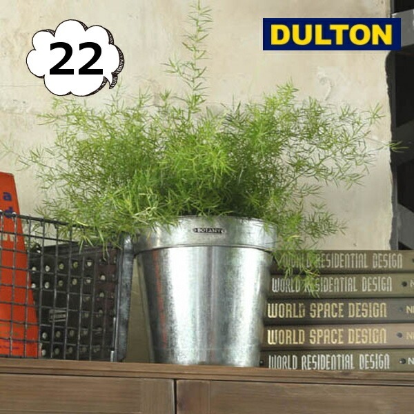 ����Хʥ����� �ݥåȥ��С� 22 ����ȥ� DOULTON K865-1095-22 GALVANIZED POT COVER 22  ����ƥꥢ�䥬���ǥ�˥��Ѥ� ȭ���С�����ȭ �ݥå� ����ƥ�����Ĵ �ץ�󥿡� �Х��� �����ǥ˥󥰡�DU-K865-1095-22��