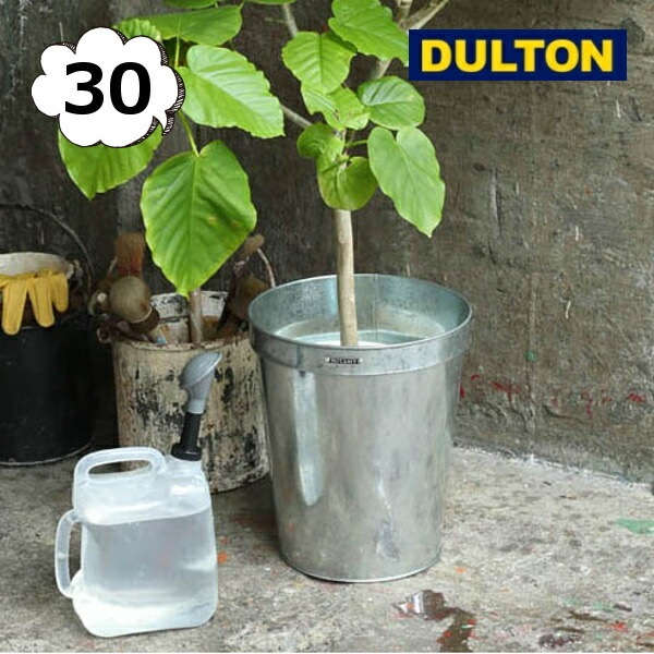 ����Хʥ����� �ݥåȥ��С� 30 ����ȥ� DOULTON K865-1095-30 GALVANIZED POT COVER 30  ����ƥꥢ�䥬���ǥ�˥��Ѥ� ȭ���С�����ȭ �ݥå� ����ƥ�����Ĵ �ץ�󥿡� �Х��� �����ǥ˥󥰡�DU-K865-1095-30��
