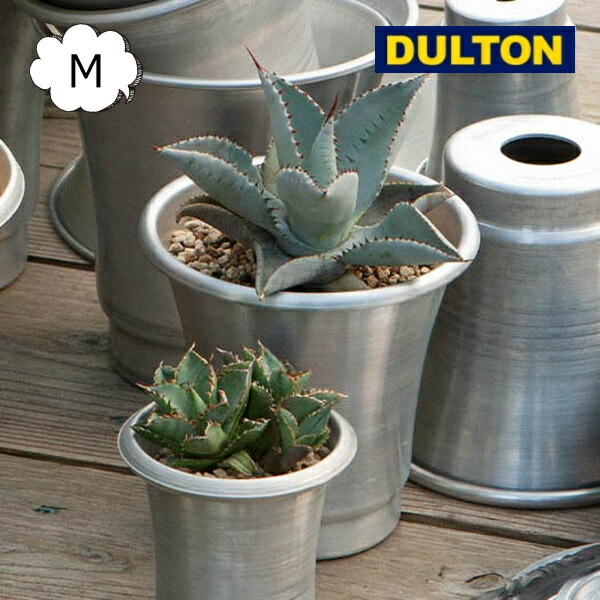 ߥ˥ ݥå M   ȭ ȥ  DULTON ȭ  å ALUMINUM POT M WITH SAUCER NB-0462M ץ󥿡 եݥå ǥ˥ ̵ ȥꥢ ǥ˥  DU-NB-0462M