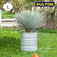 ����Хʥ����� ���� L 12��ȭ ����ȭ ����ȥ�  DULTON GALVANIZED TANK NBZ-0460L �ץ�󥿡� �ե��ݥå� �����ǥ˥� ̵�� ��������ȥꥢ�� �����ǥ˥� ��� ��������DU-NBZ-0460L��