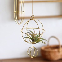 ����֥롼�� �饦��ɥ����ʥ��� ��Ϣ �ǥ��졼����� ���쥨 Creer 92350017 ���� �����ץ��� ���ꥹ�ޥ��ĥ꡼ ������� �̲� �����ʥ��� ���ꥹ�ޥ��ĥ꡼ Christmas��CRE-9235-0017��