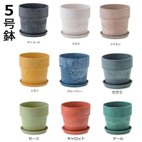 �����Х�ץ��ĥݥå� 5��ȭ�б� ��16.5�߹⤵15.5cm ���㥳���� �ߥ륯 ���ʥ�� ������ ���� �֥롼�٥꡼ ����ȭ �ץ�󥿡����С����ե��ݥå� �� ȭ ���տ�ʪ ¿����ʪ ���ܥƥ� �����ǥ󻨲� �ʥ����륬���ǥ��AA-8111��