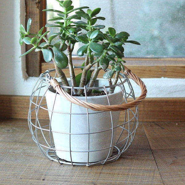 ���ϥ�ɥ�Х����å� ������ ��ü��դ� ���쥨 Creer  92450016 ��ʪ���� ��ʪ���� ��Ǽ �ܥå��� �� ���ɥ꡼ ����������� �Х����å� ���� ���� ������� ����ƥꥢ ���� ���� �̲� ���å��� ��� ��ӥ� ������CRE-9245-0016��