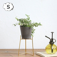 ȥݥåɥ S ֥롼 in bloom  쥨 Creer 92450024 ƥ ݥåȥɡڿȭ  ȭС ǥ󻨲 襤 ƥꥢ եɡۡCRE-9245-0024