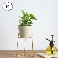 ȥݥåɥ M 4 ֥롼 in bloom  쥨 Creer 92450025 ƥ ݥåȥɡڿȭ  ȭС ǥ󻨲 襤 ƥꥢ եɡۡCRE-9245-0025