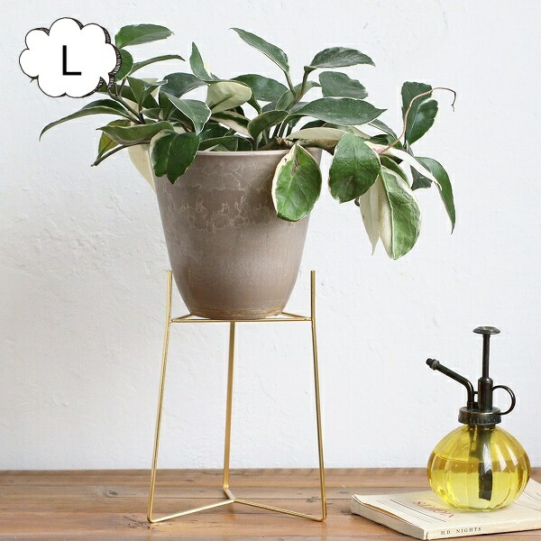 �ȥ�ݥåɥ������ L 5�� ����֥롼�� in bloom  ���쥨 Creer 92450026 ����ƥ������� ��������ݥåȥ�����ɡڿ���ȭ ������� ȭ���С� �����ǥ󻨲� ���襤�� ����ƥꥢ �ե�������ɡۡ�CRE-9245-0026��