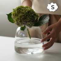 DOMU 饹١ S ۡॹƥå  ۡॹƥå HS3488 Homestead 饹 ̺  եݥå  ե١ 庬// ǥ˥  襤 ȥ 庬 ¿ʪ<br>HS3488