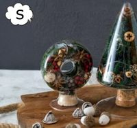 �����ɥܥȥ� �꡼���� �⤵9.5cm 22720  ��7.5�߱���5.5�߹⤵9.5cm �ɡ��ʥ� ��Ǯ���饹 �ƴ� �꡼�� ����ƥꥢ ��ʪ���� ��ʪ ���饹�ɡ��� Ÿ���ѥ��饹�ɡ��� Ź�޽��� �ǥ����ץ쥤 ����ƥ����� ���硼������ ���쥯�����ܥå�����AA-22720��