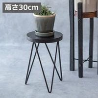 �ե�������� �������륹����� �֥�å� �⤵30cm 41396  ���� �ץ�󥿡��ܥå��� �ץ�󥿡� �ץ�󥿡��������/�ե�������� ���������� �ǥ����� ��ݥ�å� �������� �����̥����ǥ˥� ��� �������ƥꥢ���ʡ� ������̵�� �ۡ�AA-41396��