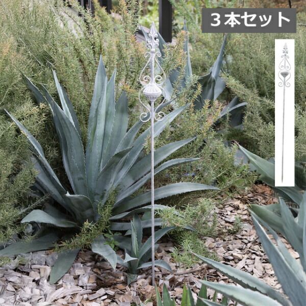 ���른���ơ������ǥ�ԥå� 3�ܥ��å� ����ƥ������� ���٥�ȥ����ǥ� COVENT GARDEN �����ǥ󻨲� �ʥ����륬���ǥ� ������� �����ǥ��ѥ����ʥ��� �ǥ����ץ쥤 ���֥��� ����ӡ� �����ǥ˥� BL-04��ZC-BL-04��