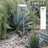 ���른���ơ����������ԥå� 3�ܥ��å� ����ƥ������� ���٥�ȥ����ǥ� COVENT GARDEN �����ǥ󻨲� �ʥ����륬���ǥ� �С��ɥե������� ��Ļ�α��� Ļ�Υ������� ������� �����ǥ��ѥ����ʥ��� Ļ���� �ǥ����ץ쥤 ���֥��� ����ӡ� ��Ļ BL-05��ZC-BL-05��