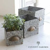 ��ǥ󡦥������󥱡��� 3�����å� ����ƥ������� ���٥�ȥ����ǥ� COVENT GARDEN �ե��ݥå� �� ȭ ���տ�ʪ �����ǥ󻨲� �ʥ����륬���ǥ� BZ-17 ������̵�� �ۡ�ZC-BZ-17��