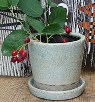 DULTON ȥ 顼 졼 ݥå 10 CH13-G476 COLOR GLAZED POTDU-CH13-G476