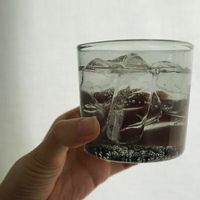 ������ ���饹 ���졼 ���쥤 ��Ǯ���饹 �ۡ��ॹ�ƥå� �������� Skon Homestead AXCIS HS3063 ����֥顼 ���饹 ��Ǯ ̵�� Ʃ��  ������� ���� ��ʪ���� ����֥顼 ���å� ���å� ������� ���襤�� ���鴶��HS3063��